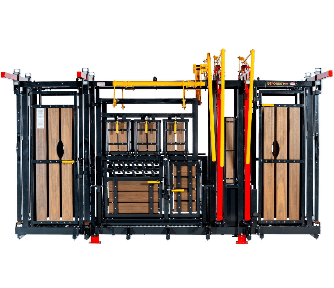 Tronco Robust Plus